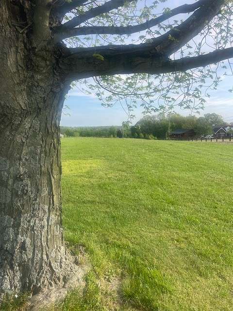 0.99 Acres of Residential Land for Sale in White House, Tennessee