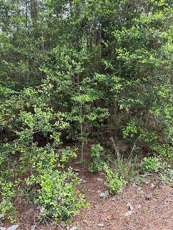 0.34 Acres of Residential Land for Sale in Brookeland, Texas