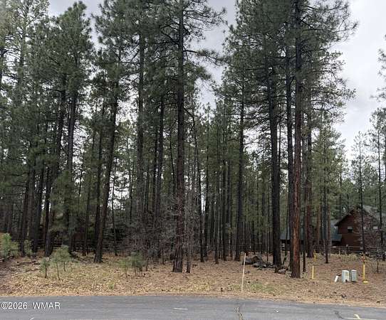 0.19 Acres of Residential Land for Sale in Pinetop, Arizona