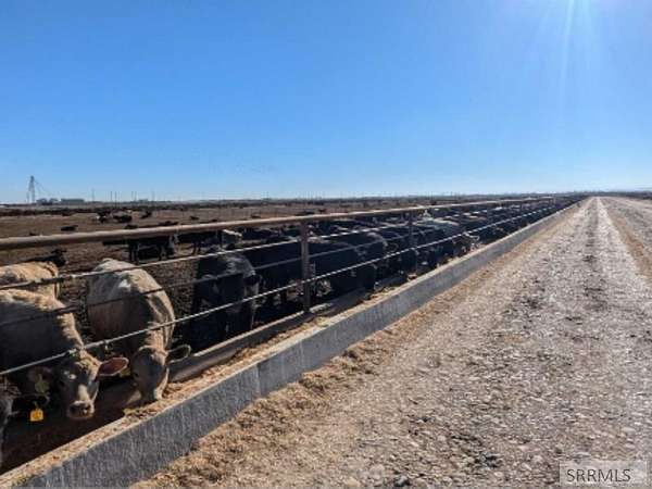 1,178 Acres of Land for Sale in Blackfoot, Idaho