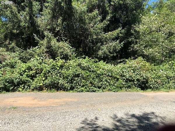 2 Acres of Residential Land for Sale in Bunker Hill, Oregon