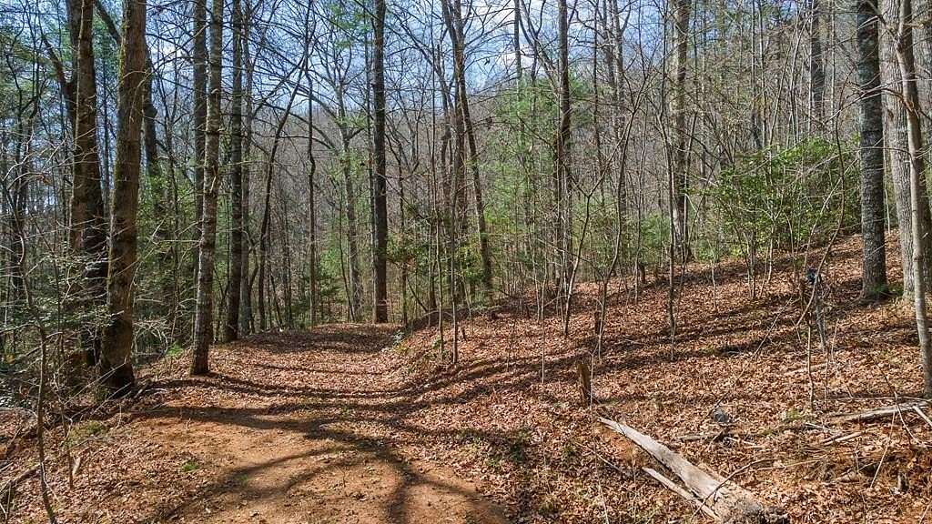 1.3 Acres of Residential Land for Sale in Franklin, North Carolina