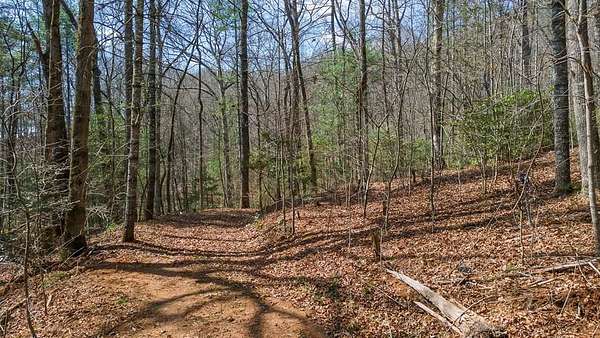 1.3 Acres of Residential Land for Sale in Franklin, North Carolina