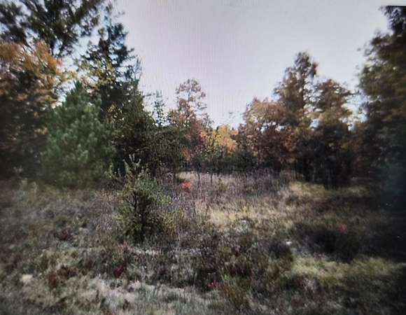 0.5 Acres of Residential Land for Sale in Grayling, Michigan