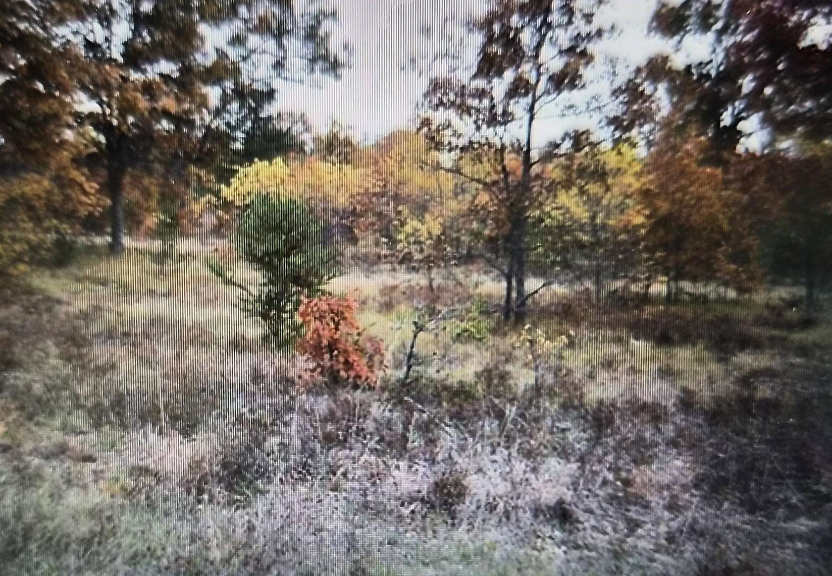 0.5 Acres of Residential Land for Sale in Grayling, Michigan