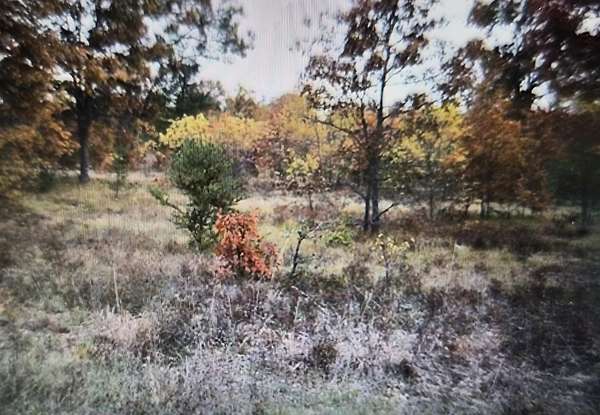 0.5 Acres of Residential Land for Sale in Grayling, Michigan