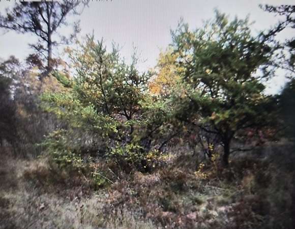 0.5 Acres of Residential Land for Sale in Grayling, Michigan