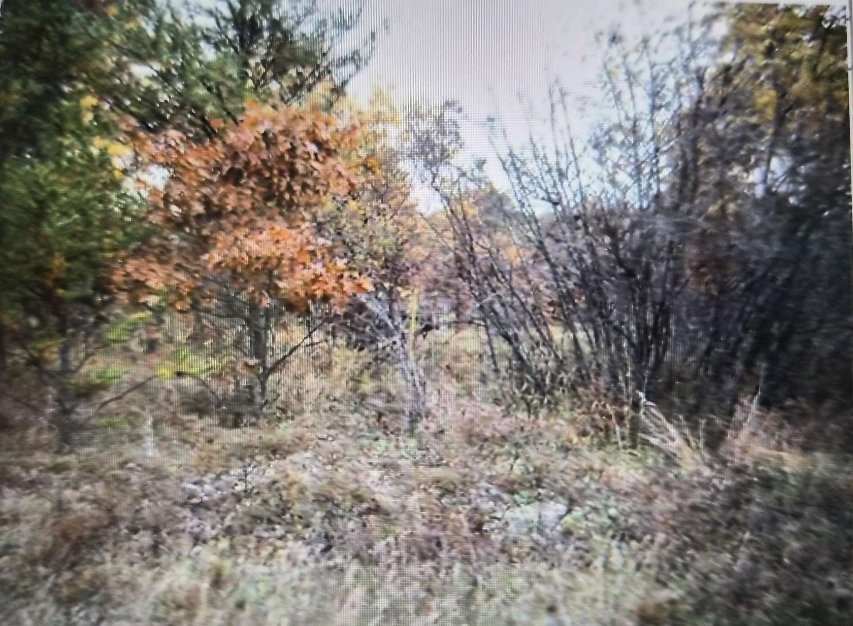 0.5 Acres of Residential Land for Sale in Grayling, Michigan