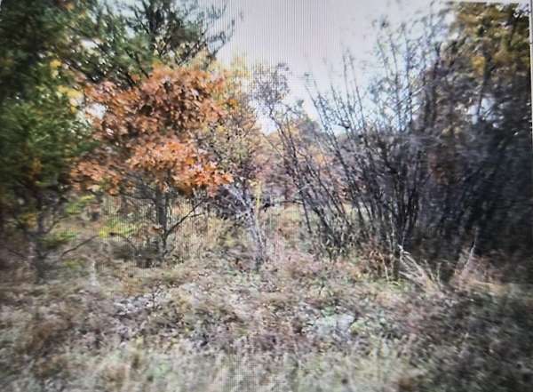 0.5 Acres of Residential Land for Sale in Grayling, Michigan