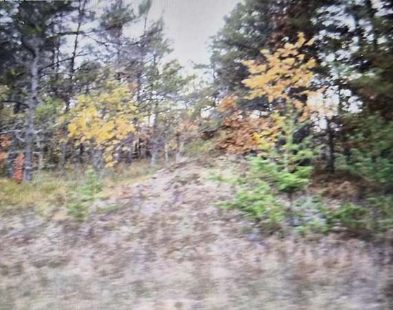 0.5 Acres of Residential Land for Sale in Grayling, Michigan