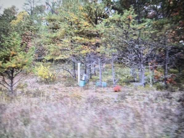 0.5 Acres of Residential Land for Sale in Grayling, Michigan