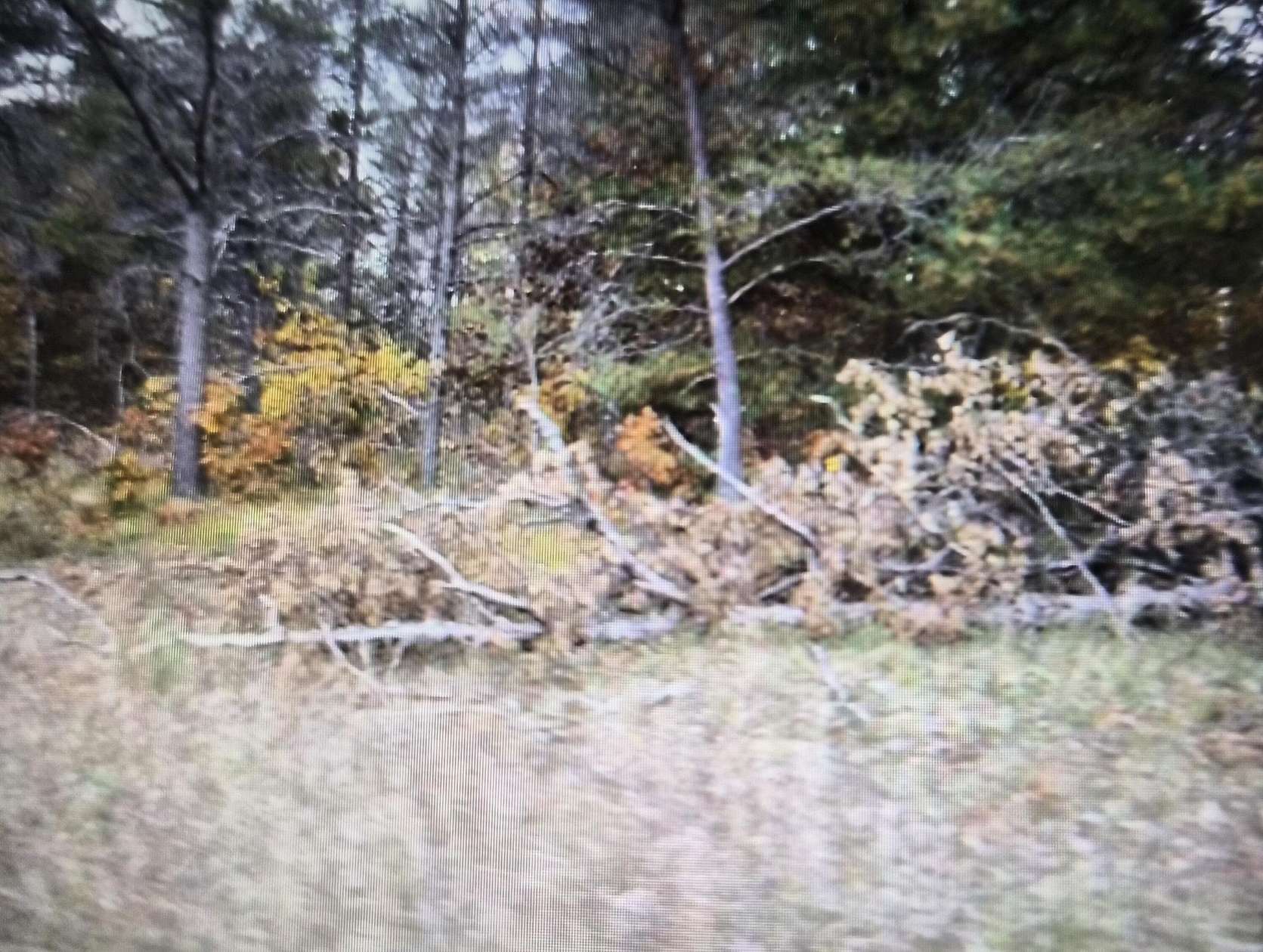 0.5 Acres of Residential Land for Sale in Grayling, Michigan