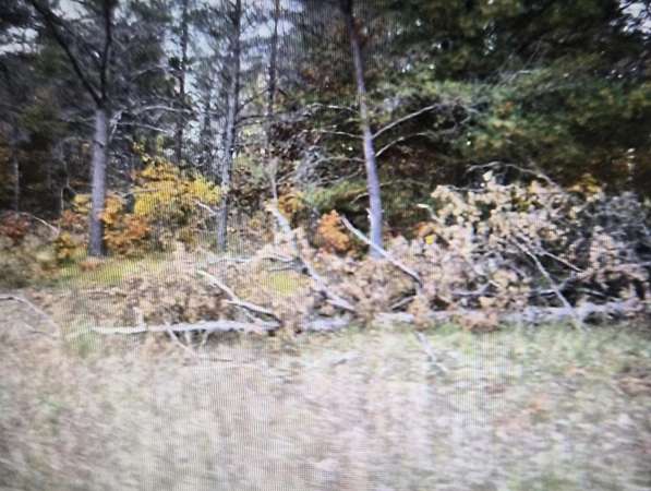 0.5 Acres of Residential Land for Sale in Grayling, Michigan