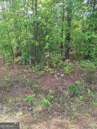 17 Acres of Land for Sale in Elberton, Georgia