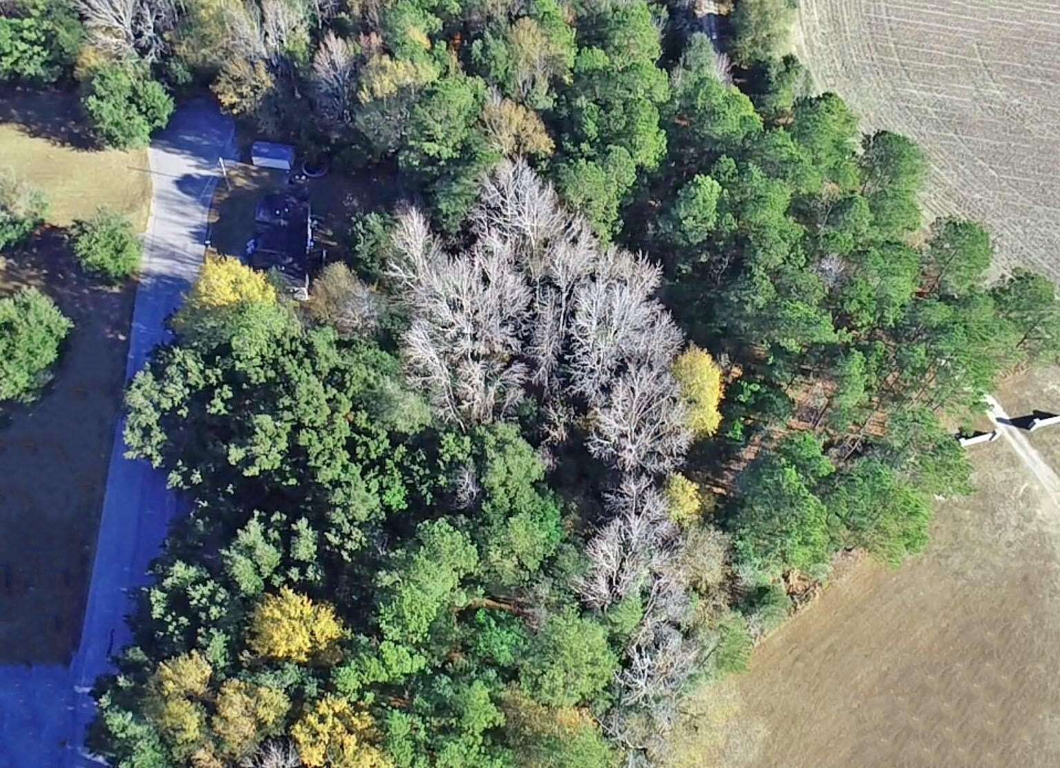 0.96 Acres of Residential Land for Sale in St. Matthews, South Carolina