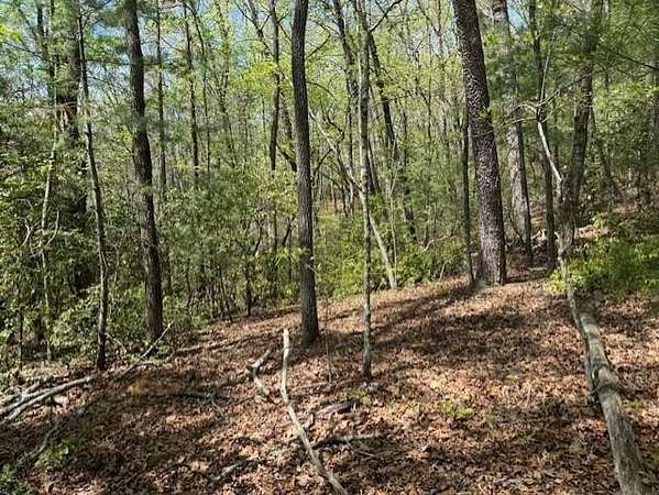 5.62 Acres of Residential Land for Sale in Ellijay, Georgia