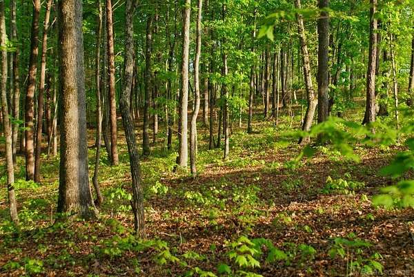 5.15 Acres of Residential Land for Sale in Shelby Township, Michigan