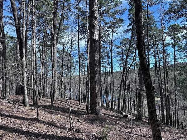0.43 Acres of Residential Land for Sale in Hot Springs Village, Arkansas