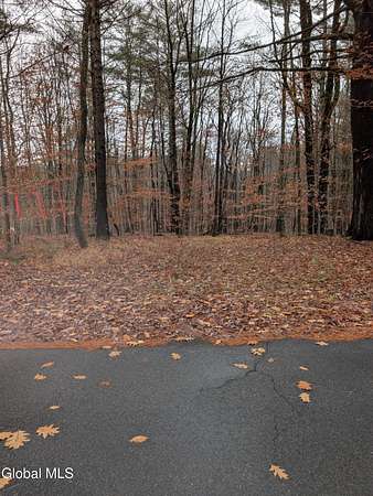 31.9 Acres of Recreational & Residential Land for Sale in Benson, New York