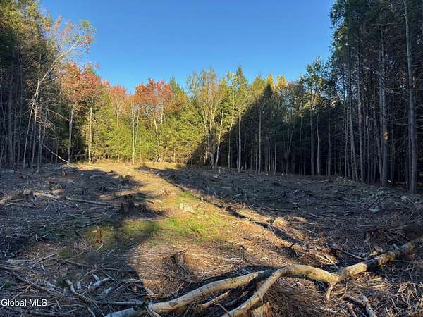 5.57 Acres of Residential Land for Sale in Sand Lake, New York