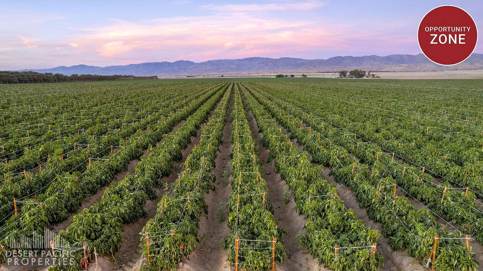 80.2 Acres of Land for Sale in Mecca, California