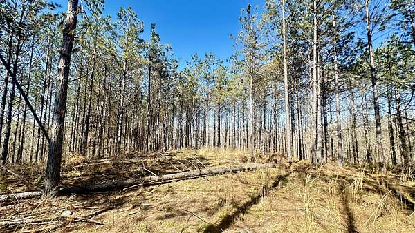 5 Acres of Residential Land for Sale in Hohenwald, Tennessee