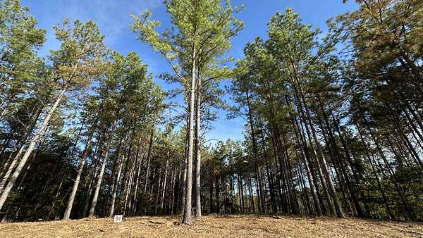 5 Acres of Residential Land for Sale in Hohenwald, Tennessee