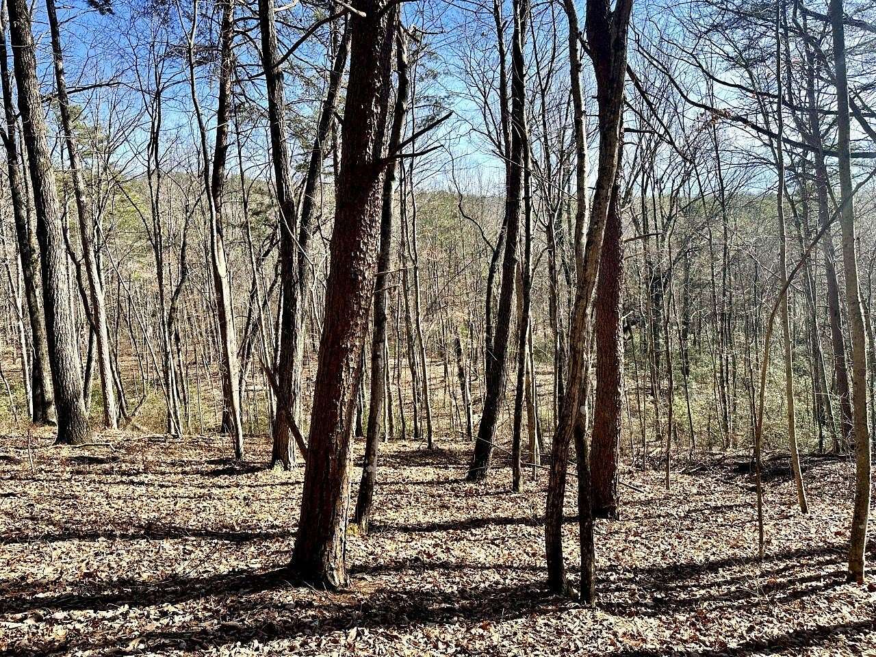 93 Acres of Recreational Land for Auction in Dunlap, Tennessee
