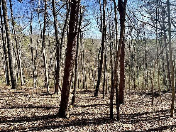 93 Acres of Recreational Land for Auction in Dunlap, Tennessee