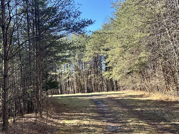 154 Acres of Recreational Land for Auction in Whitwell, Tennessee