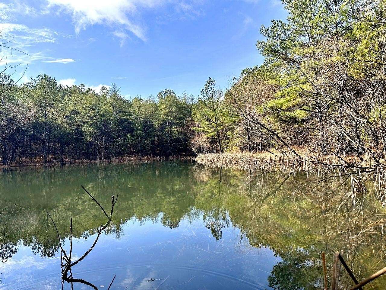 8.32 Acres of Land for Auction in Dunlap, Tennessee