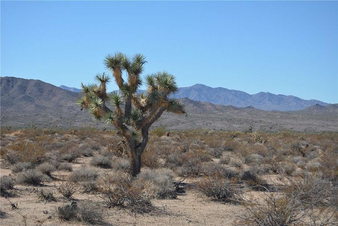 40 Acres of Land for Sale in Yucca, Arizona