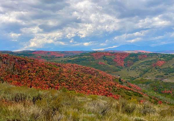 19.3 Acres of Land for Sale in Woodland, Utah