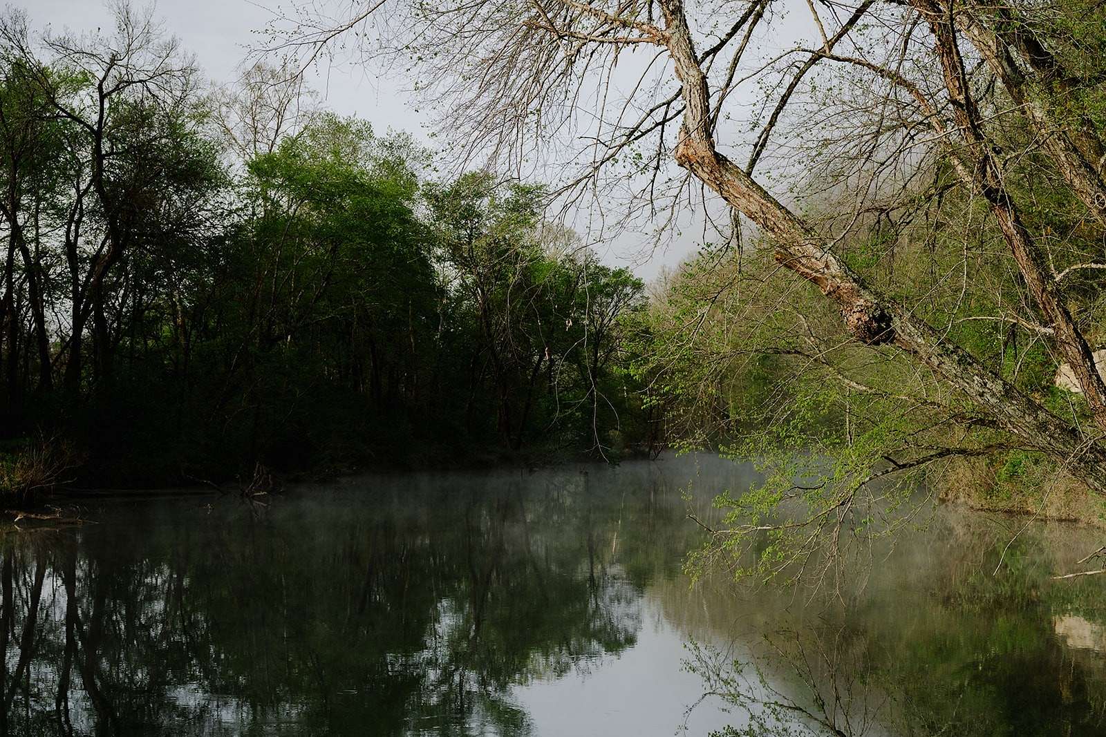 111 Acres of Land for Sale in Centerville, Tennessee