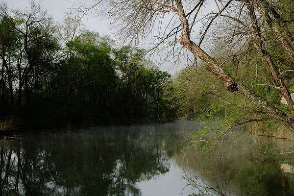 111 Acres of Land for Sale in Centerville, Tennessee