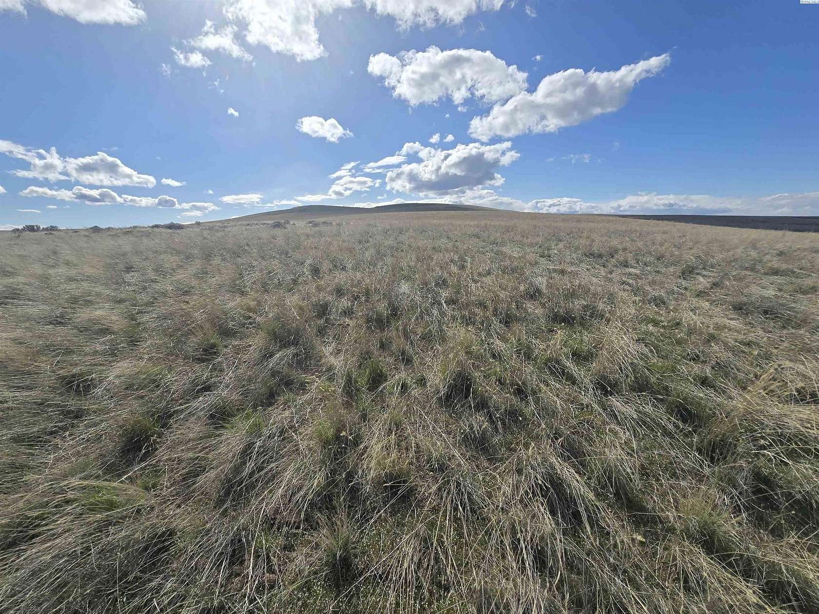 40 Acres of Agricultural & Residential Land for Sale in Mabton, Washington