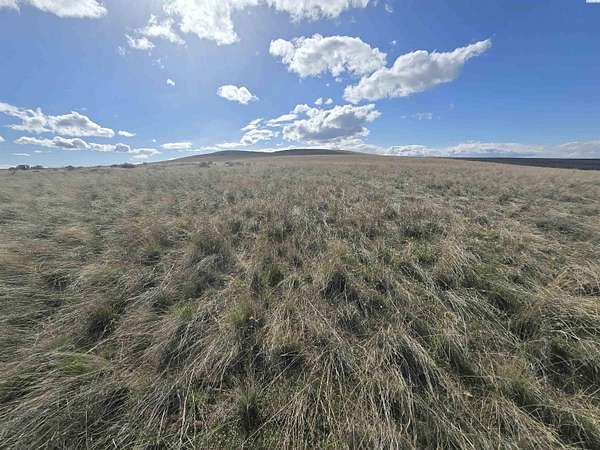 40 Acres of Agricultural & Residential Land for Sale in Mabton, Washington