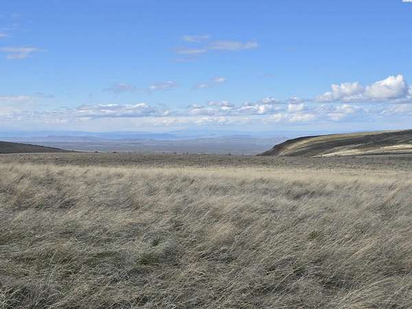 41.7 Acres of Agricultural & Residential Land for Sale in Mabton, Washington