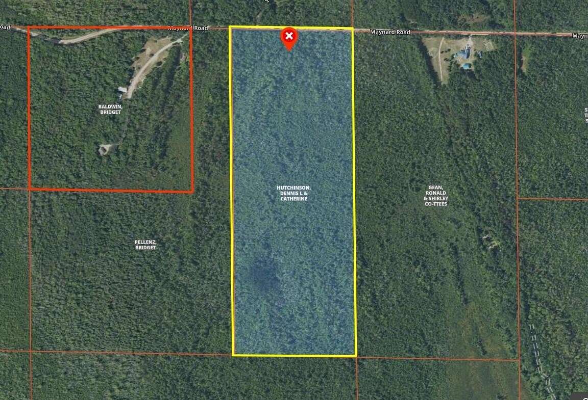 60 Acres of Recreational Land for Sale in Cheboygan, Michigan