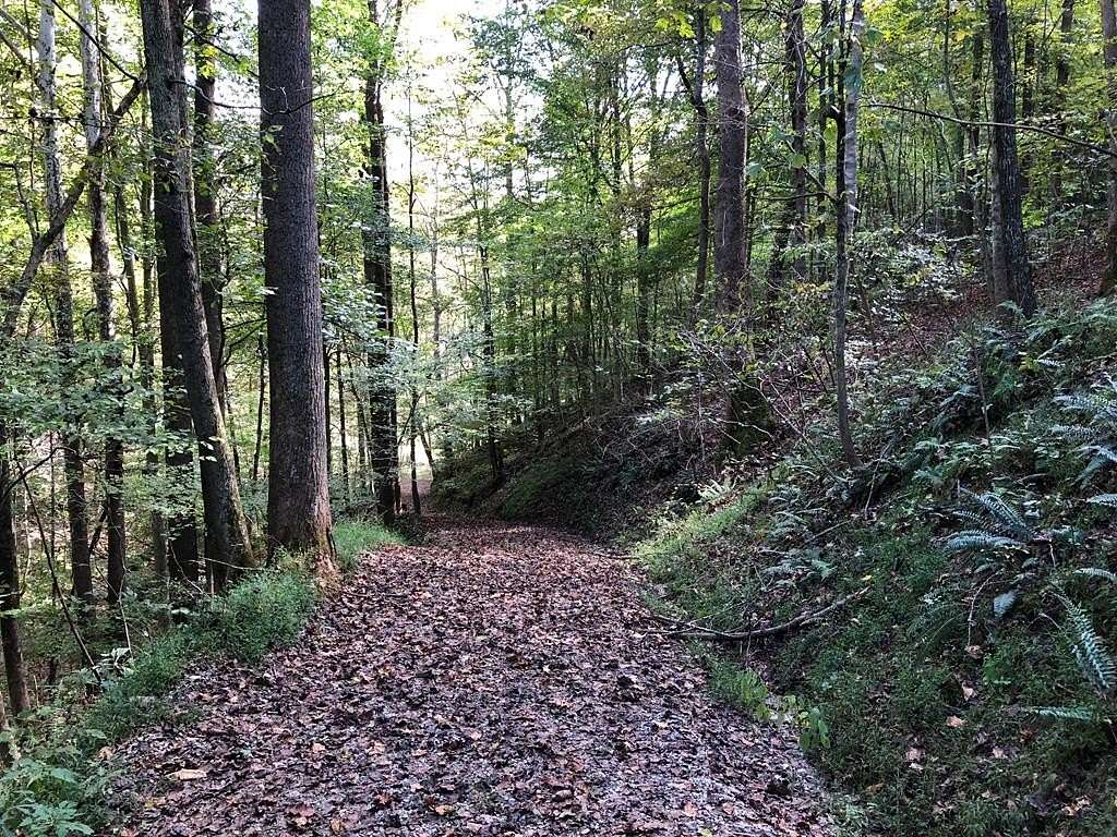 27.5 Acres of Recreational Land for Sale in Hamlin, West Virginia