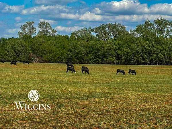 153 Acres of Agricultural & Residential Land for Auction in Enid, Oklahoma