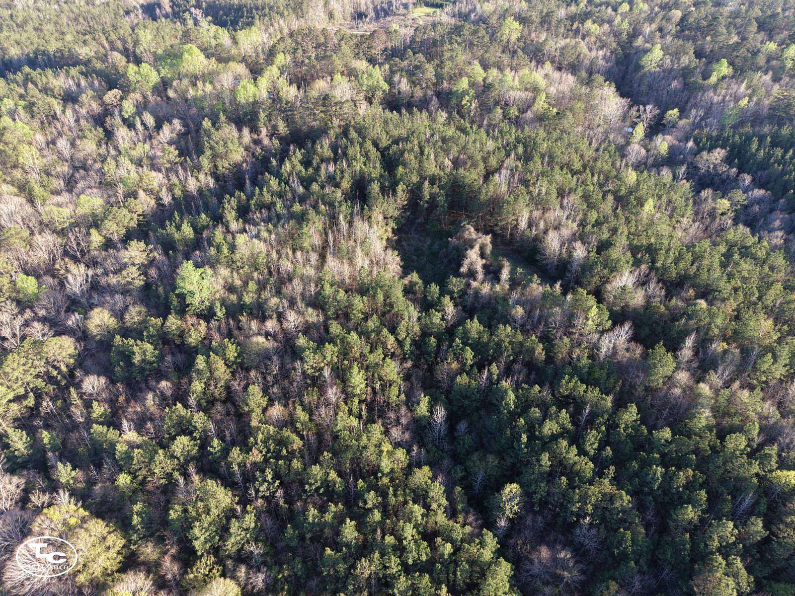 26 Acres of Recreational & Residential Land for Sale in Thomasville, Alabama