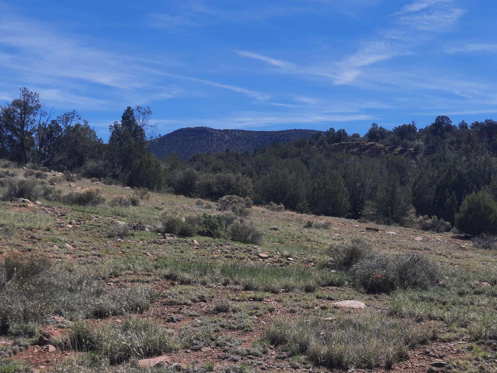 95.9 Acres of Land for Sale in Seligman, Arizona