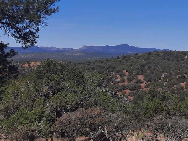 160 Acres of Land for Sale in Seligman, Arizona