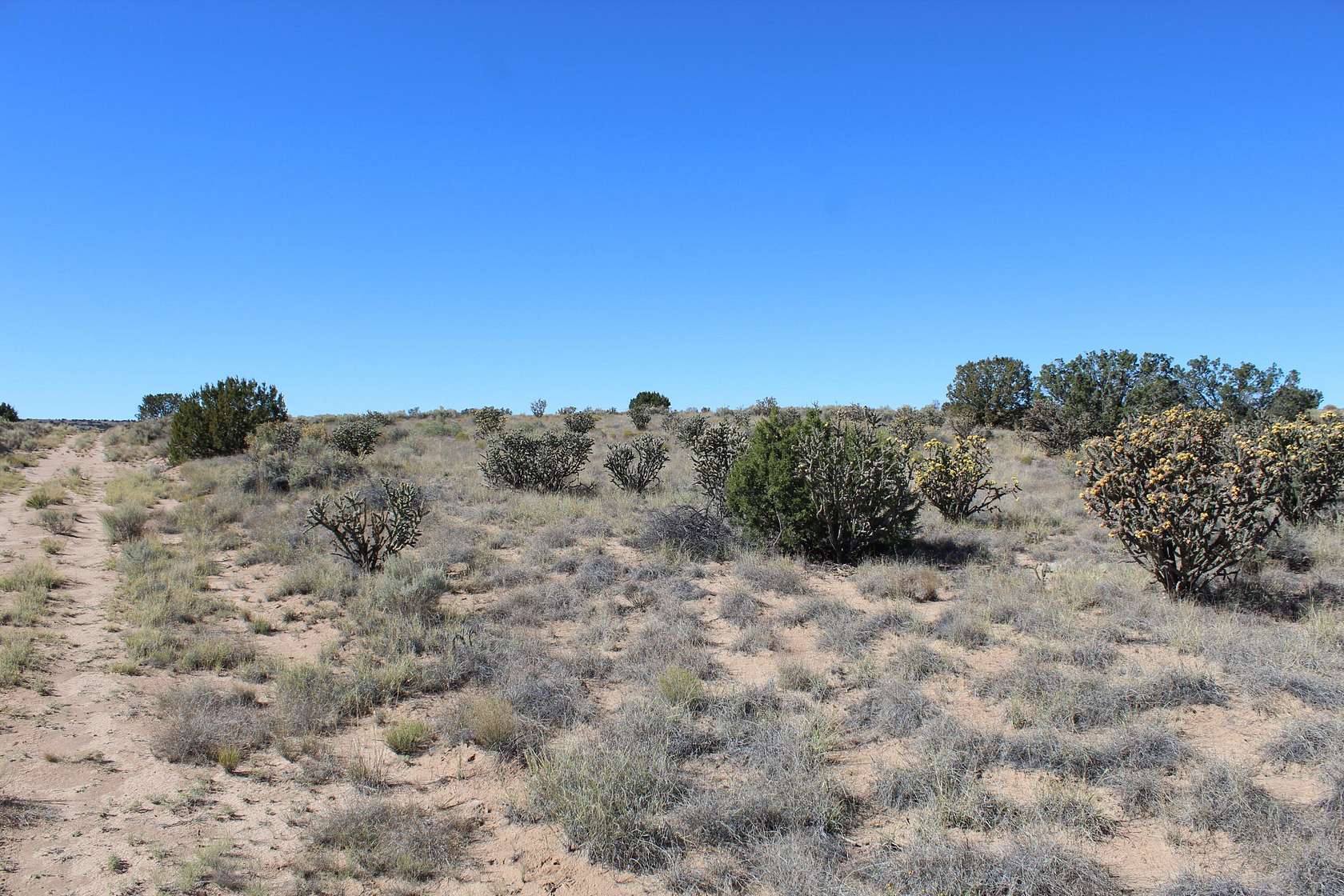1.5 Acres of Land for Sale in Rio Rancho, New Mexico