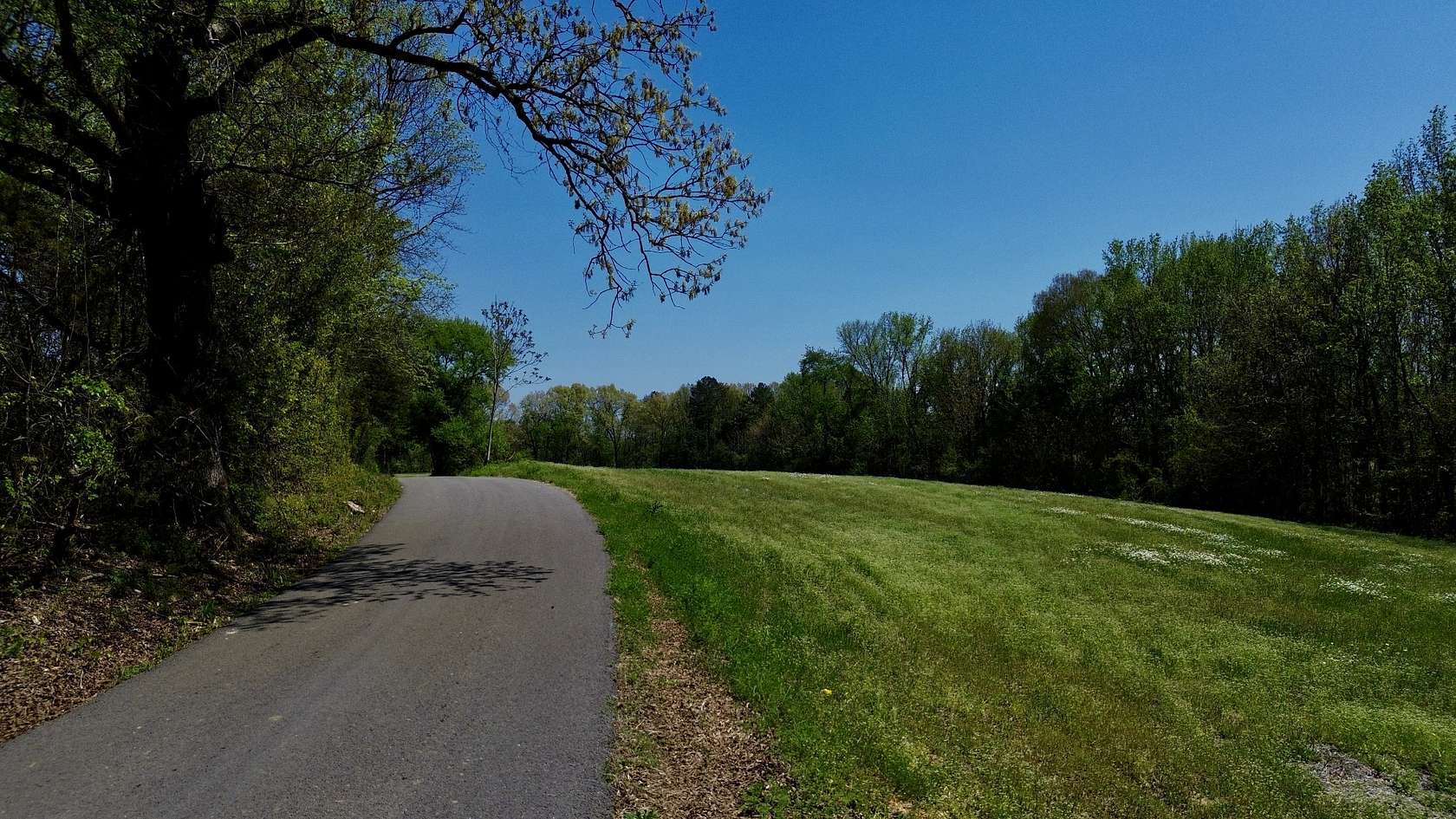 12 Acres of Land for Sale in Rock Island, Tennessee