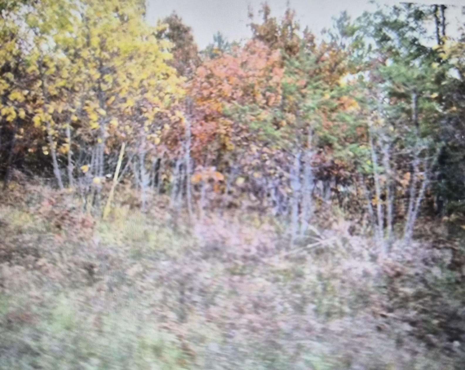 0.5 Acres of Residential Land for Sale in Grayling, Michigan