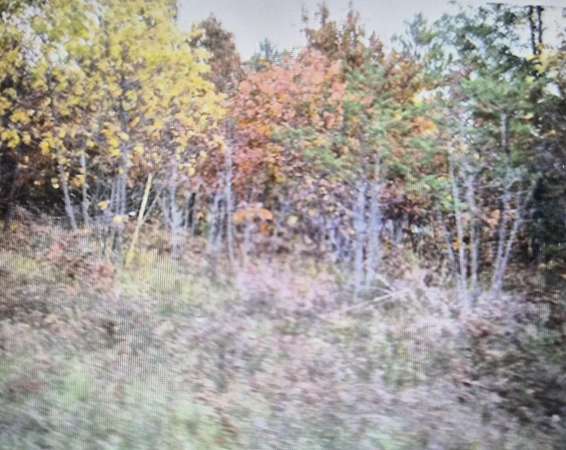 0.5 Acres of Residential Land for Sale in Grayling, Michigan
