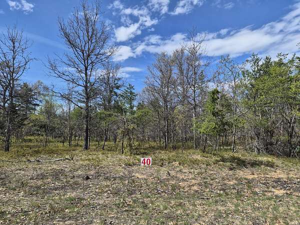0.5 Acres of Residential Land for Sale in Grayling, Michigan