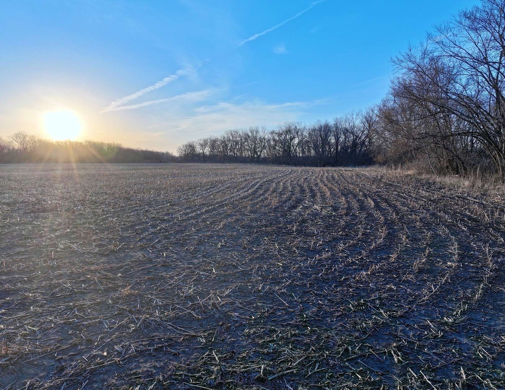 103 Acres of Land for Sale in Granger, Iowa